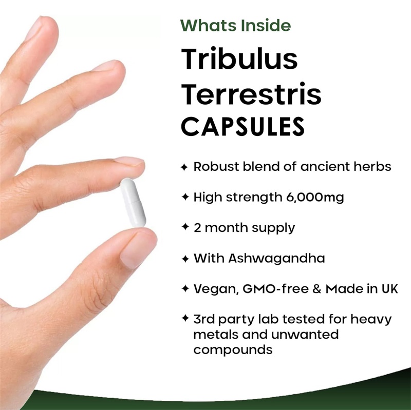 Tribulus Terrestris 6000MG - 전 - Health And Wellness Promotion 리뷰 및 가격